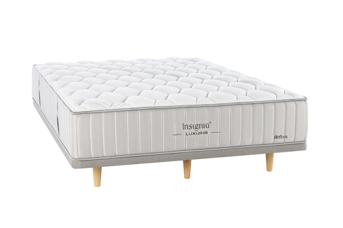 Insignia Luxuria Alfina