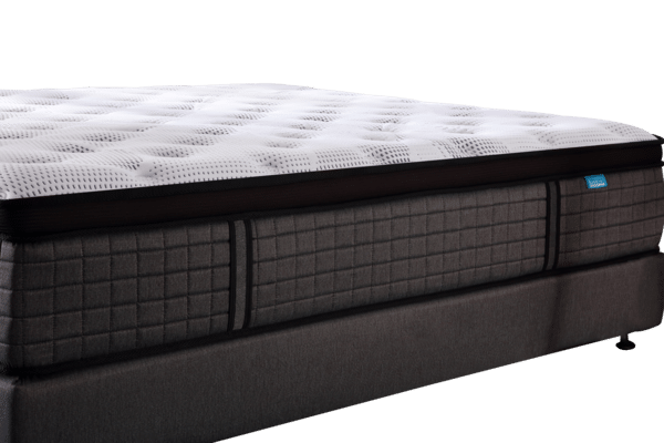 Zzz Atelier Chiropractic Black Label