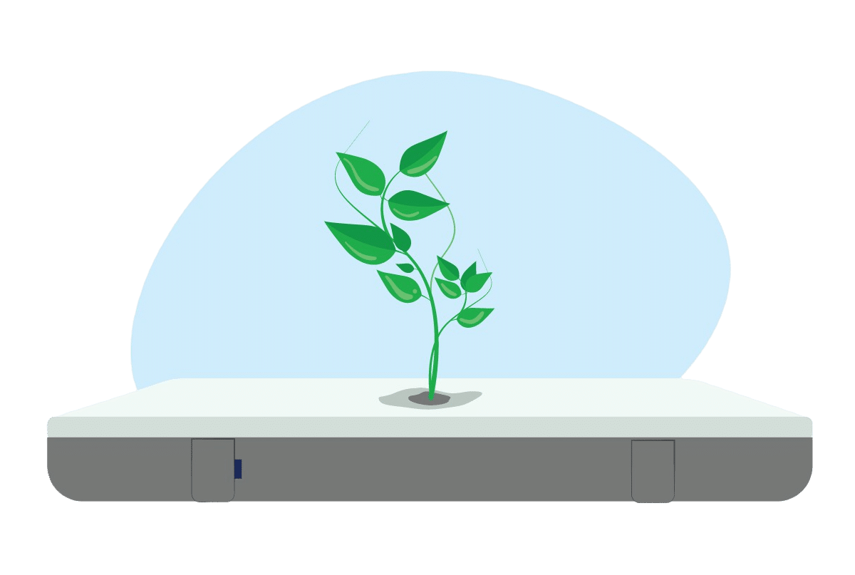 Emma Mattress Bedbuyer™ Review 2020