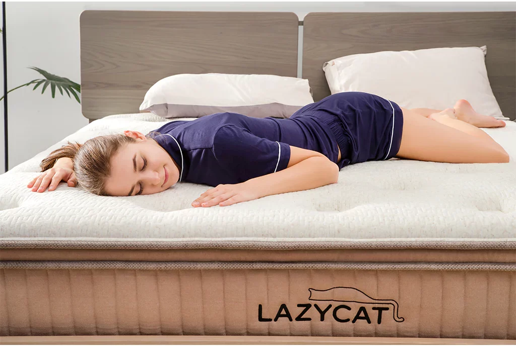 Lazycat Spring Mattress