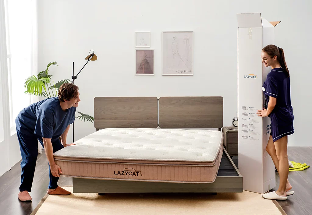 Lazycat Spring Mattress