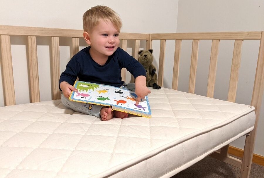 Quokka Beds Cot Mattress