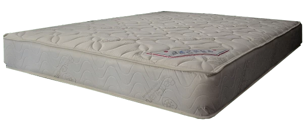 BedGuard Guardian Luxury Waterproof Mattress