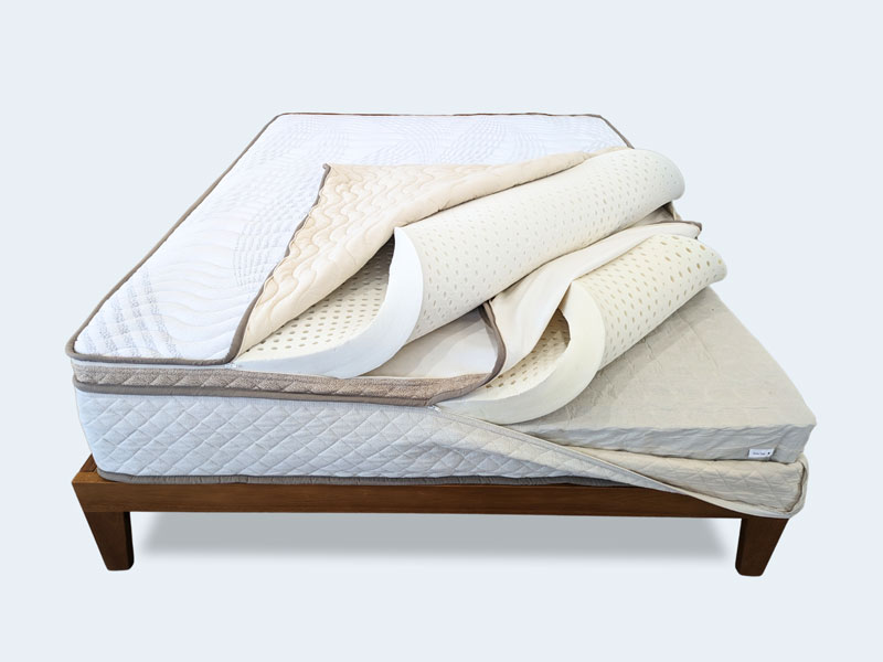 Quokka Beds Hybrid Latex Mattress